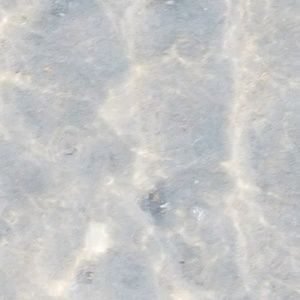 Meet your Posher, Chasity